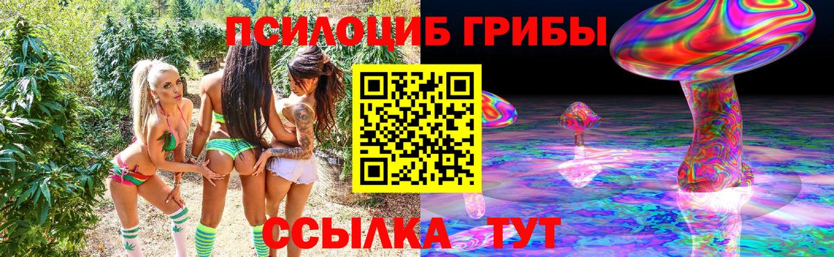 Псилоцибиновые грибы ЛСД  Псилоцибиновые грибы Psilocybe  Избербаш  Вход с VPN 